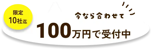 限定10社100万円で受付中